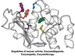 Regulation of enzyme activity. Enzymodiagnostic. Enzymopathy