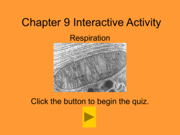Chapter 1 Interactive Quiz