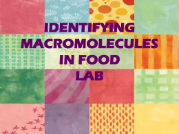 Indentifying Macromolecules in Food PowerPoint