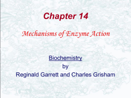 What Are the Mechanisms of Catalysis?