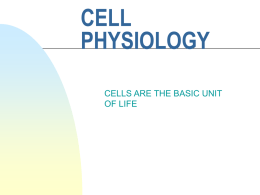 cell physiology - people.vcu.edu