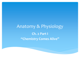 Anatomy & Physiology Ch. 2 Chemistry Comes Alive
