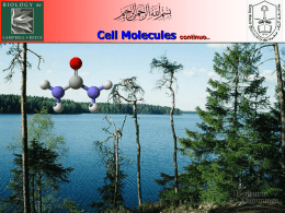 Cell Molecules