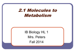 2.1 Molecules to Metabolism 14-15