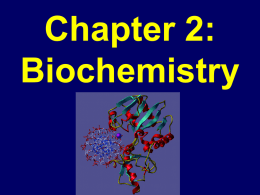 Biochemistry Powerpoint