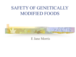 the labelling of genetically modified foods