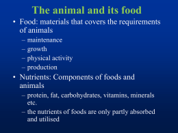 The animal and its food