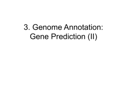 Gene Prediction: Statistical Approaches