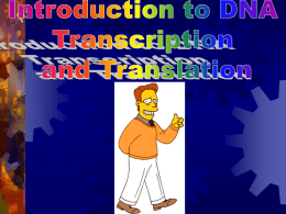 Transcrip_Translation