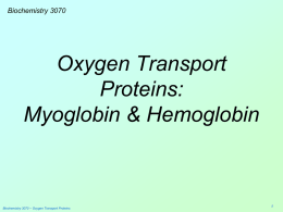 Oxygen Transport Proteins