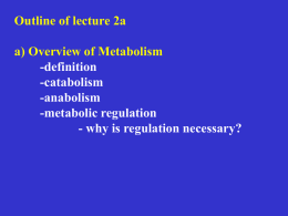 2106lecture 2a powerpoint