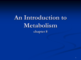 10 Metabolism