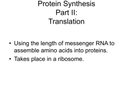 Making protein (translation)