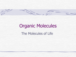 Bio03 Organic Molecules