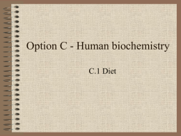 Option C - Human biochemistry C.1 Diet-