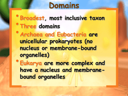 classification- domains and kingdoms