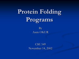Protein Folding Programs