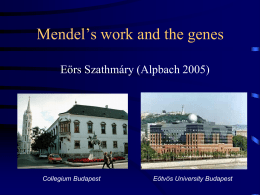 Mendel`s work