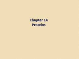 Chapter 14-proteins_part 2