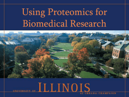 Applying Proteomics in Biomedical Research