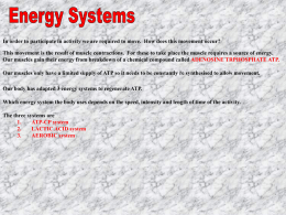 Energy_systems[1] - kinlochlevenpehigher