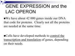 GENE EXPRESSION and the LAC OPERON