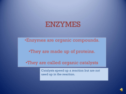 ENZYMES3