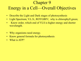 For Chap 9 Biology Photosynthesis