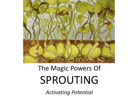The Magic Powers Of SPROUTING