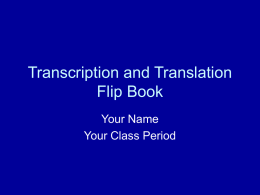 Transcription andTranslation Flip Book