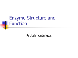 Enzyme Structure and Function11