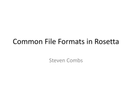 Common File Formats in Rosetta