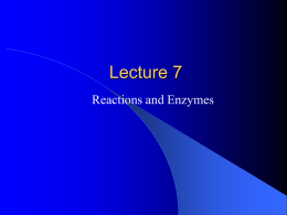 Lecture #7