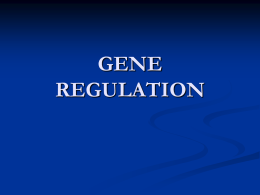 5. kuliah gene regulation