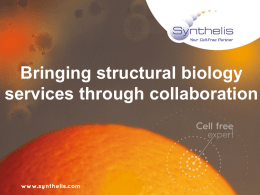 Synthelis structural biology presentation february 2016