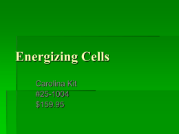 Energizing Cells