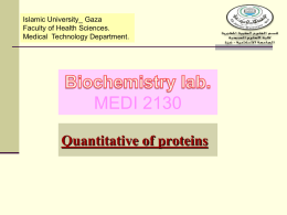 lab.4 Quantitative of proteins