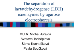 Stanovení isoenzymů laktátdehydrogenázy (LDH) elektroforezou