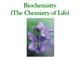 CB098-008.22_Biochemistry