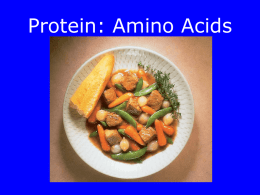 Protein: Amino Acids - Resource Sites