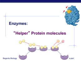 Enzymes - TeacherWeb
