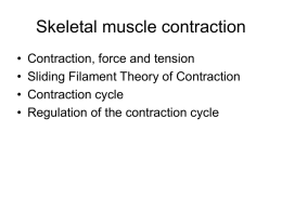 Observations during muscle contraction