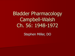 Bladder Pharmacology Campbell-Walsh Ch. 56: 1948-1972