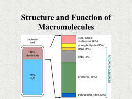 Structure and Function of Macromolecules What is a Macromolecule?