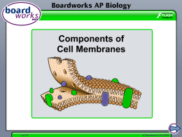 Components of Cell Membranes