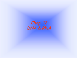 I. DNA A. WHAT IS IT?