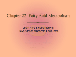 Fatty Acid Metabolism - University of Wisconsin