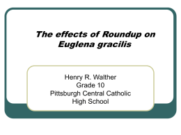 Henry W. Euglena vs Roundup