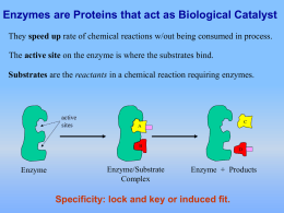 2. Enzymes