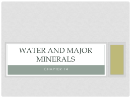 Water & Major Minerals - 35-206-202